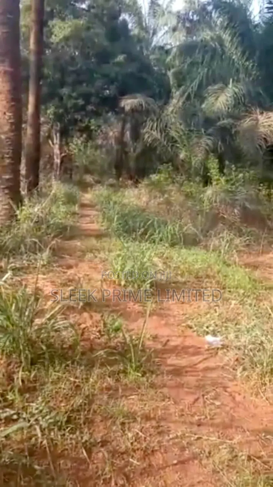 10 Plots of Land for Sale at Nsukka in Nsukka