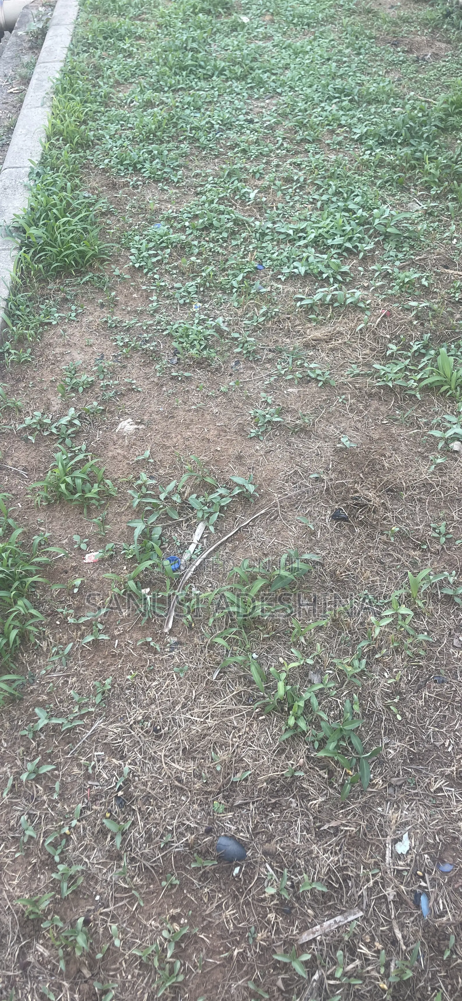 1100sqm of Residential Plot at Jahi FCT Abj Nigeria in Jahi