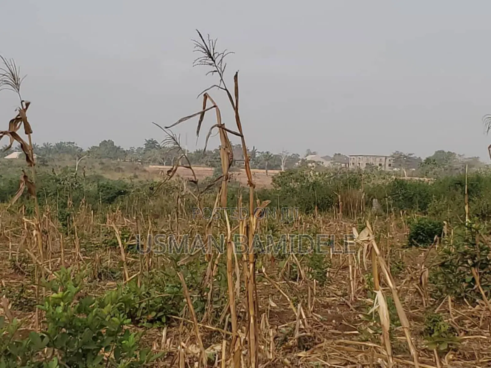 Land Surveyor in Abeokuta North