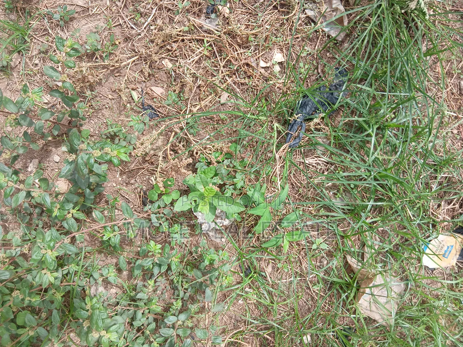 100 Acres of Industal Land Lukosi Lukosi Aralu Ogun State in Obafemi-Owode
