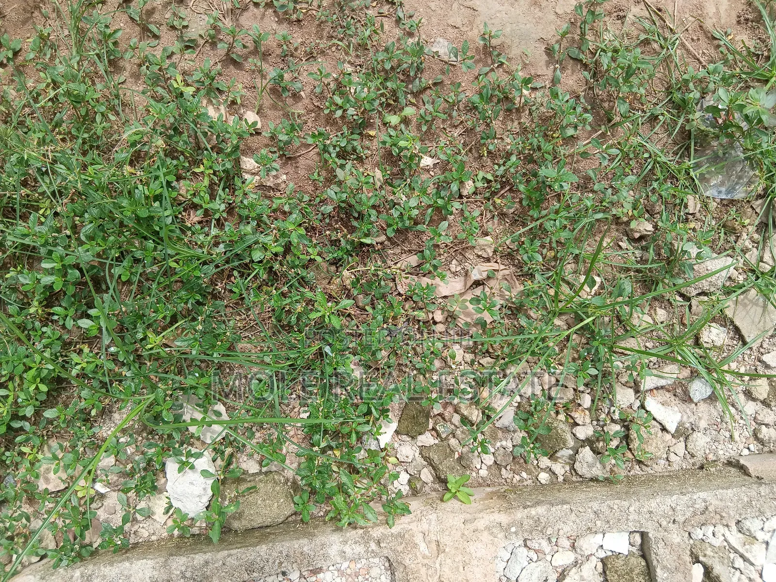 100 Acres of Industal Land Lukosi Lukosi Aralu Ogun State in Obafemi-Owode