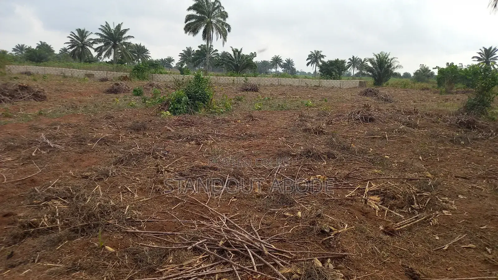 Buy 3 Acres Get 1 Acre Free in Ado-Odo/Ota