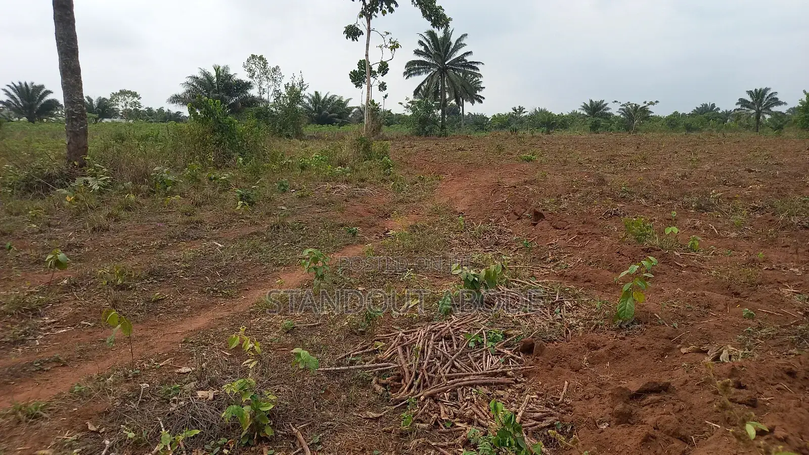 Buy 3 Acres Get 1 Acre Free in Ado-Odo/Ota