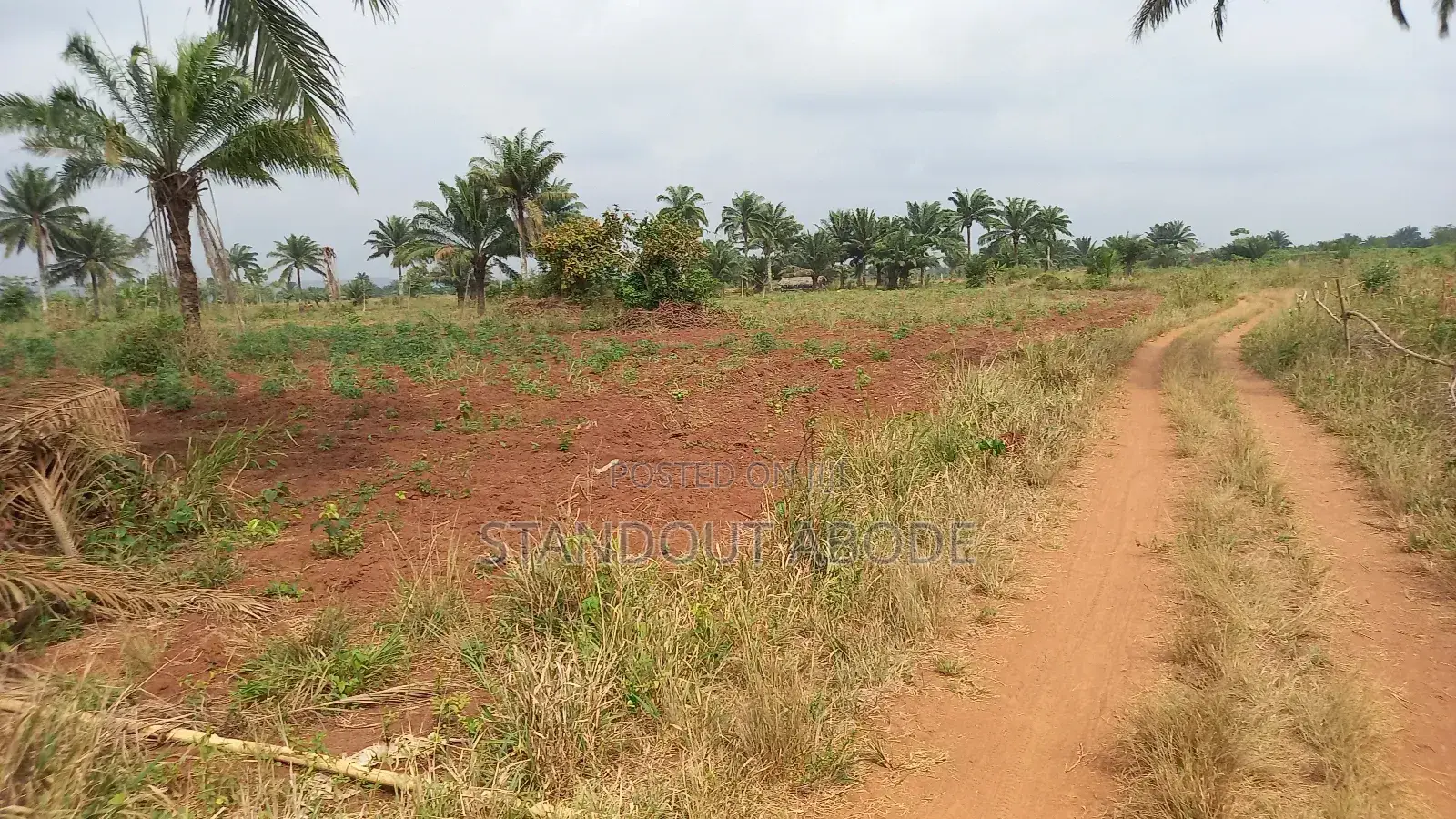 Buy 3 Acres Get 1 Acre Free in Ado-Odo/Ota