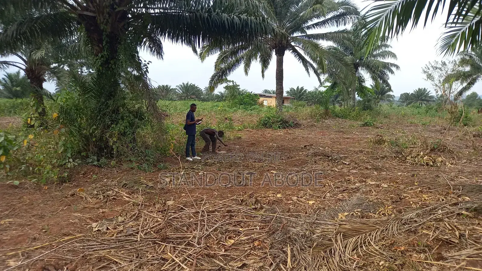 Buy 3 Acres Get 1 Acre Free in Ado-Odo/Ota