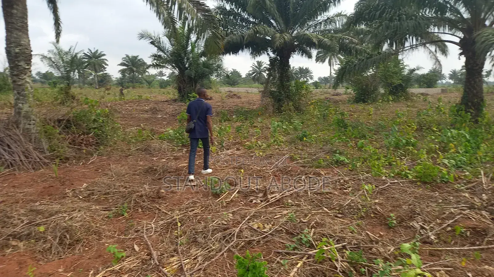 Buy 3 Acres Get 1 Acre Free in Ado-Odo/Ota