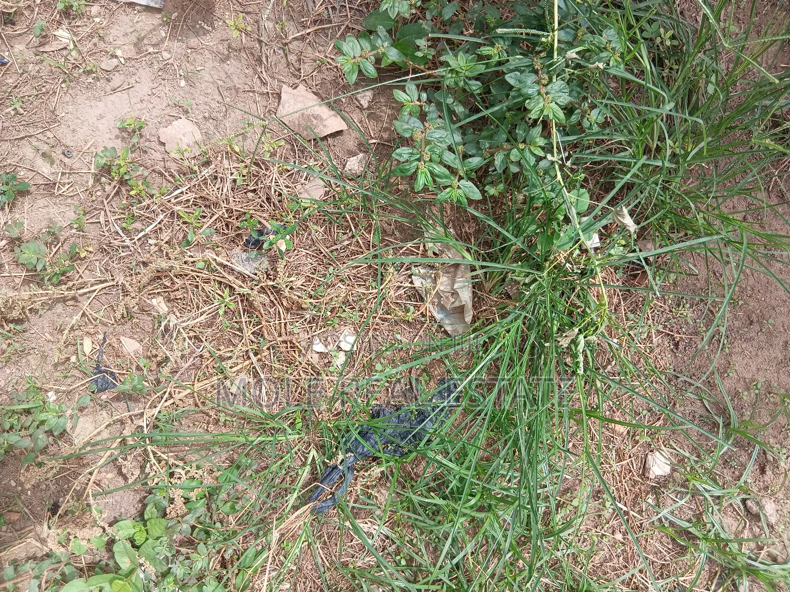 548sqm (Jv ) Joint Venture Ogudu Gra in Ogudu GRA