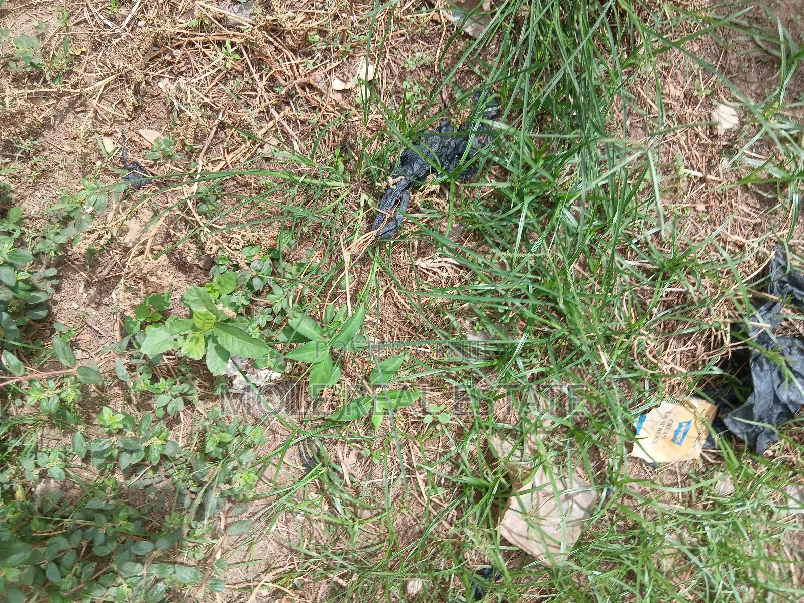 548sqm (Jv ) Joint Venture Ogudu Gra in Ogudu GRA