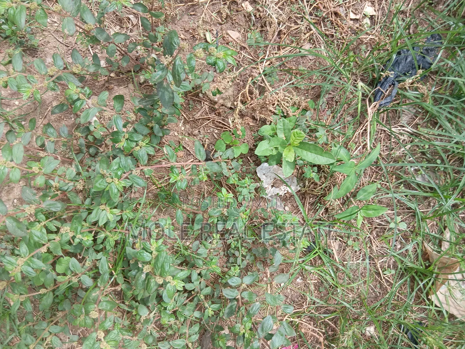 1 600 SQM Plot Ikeja 4 Sale / (Jv) Prime Location in Ikeja