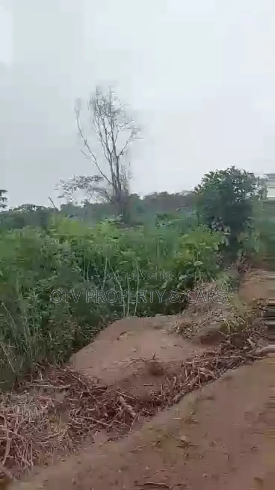 500 Acre Of Land For Sale @Agoro Acre in Obafemi-Owode