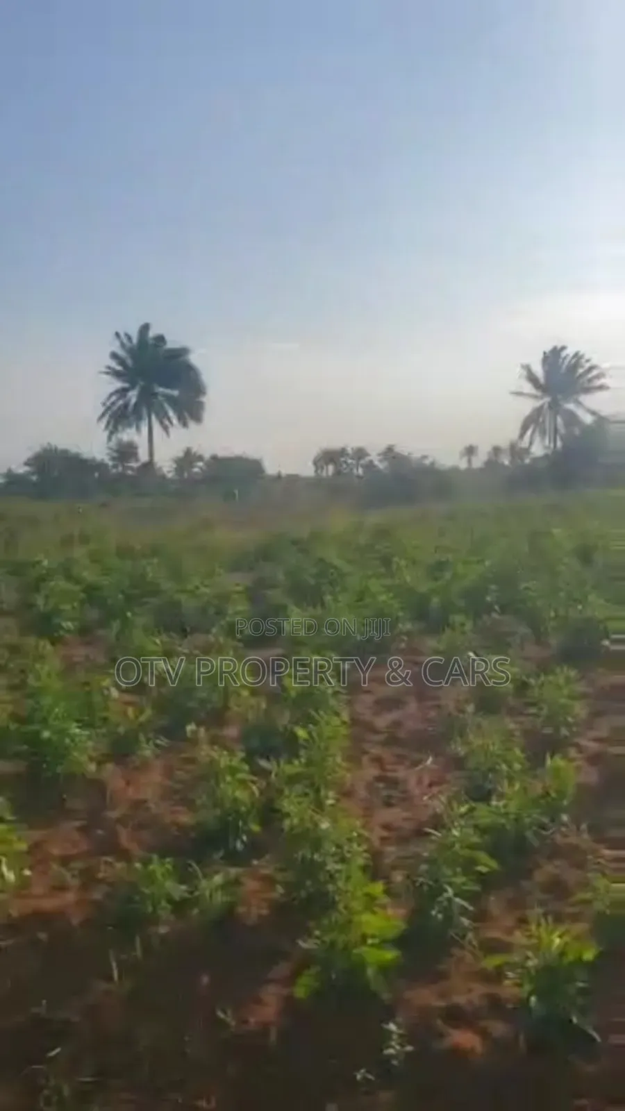 215 Acres of Land for Sale at Ogun #6m/Acre With C of O in Obafemi-Owode