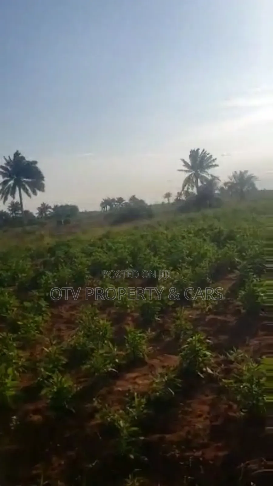 215 Acres of Land for Sale at Ogun #6m/Acre With C of O in Obafemi-Owode