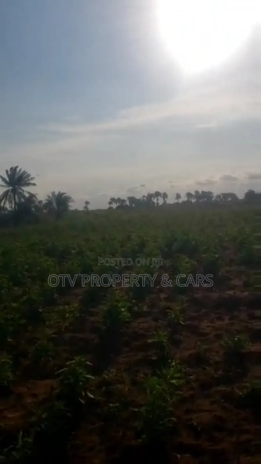 215 Acres of Land for Sale at Ogun #6m/Acre With C of O in Obafemi-Owode