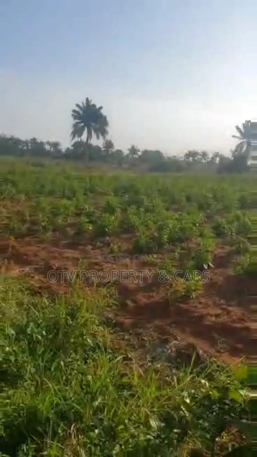 215 Acres of Land for Sale at Ogun #6m/Acre With C of O in Obafemi-Owode