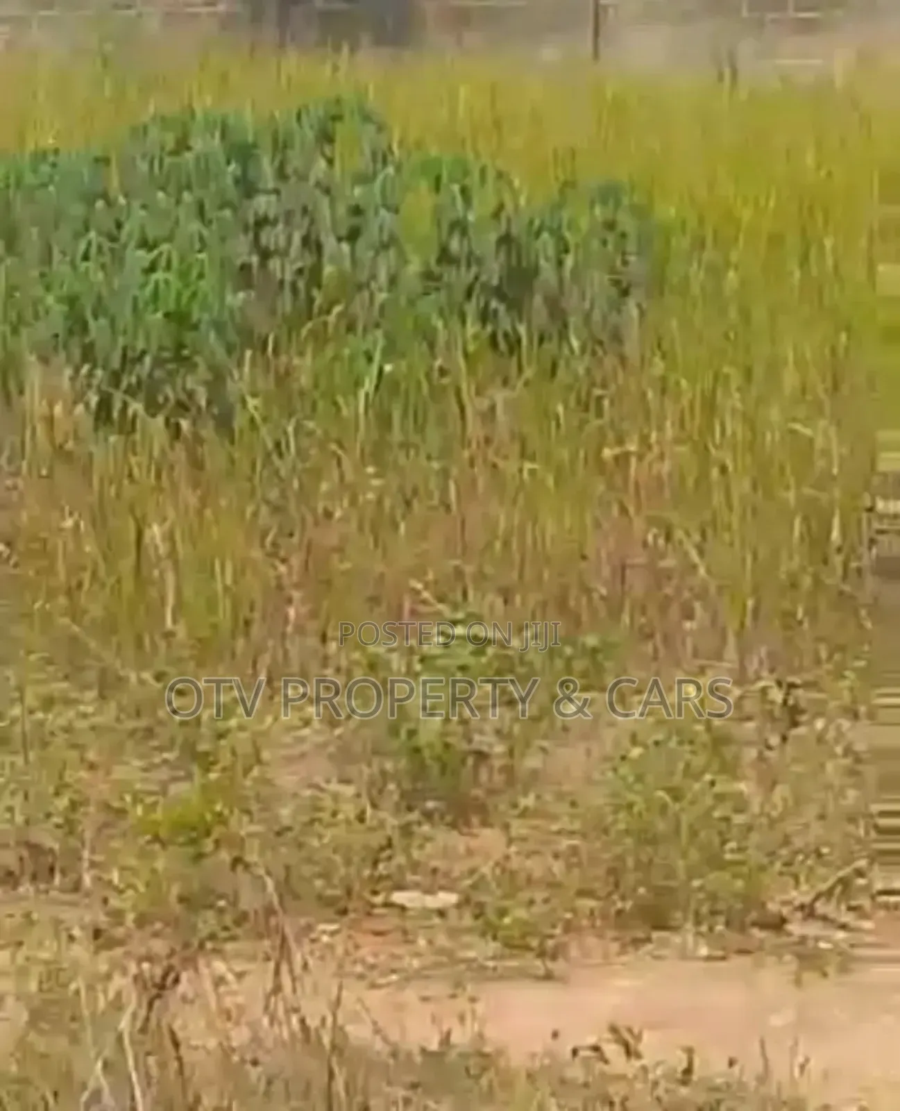 15000 Acres for Sale /Acre at Lagos Ibadan Expressway in Oluyole