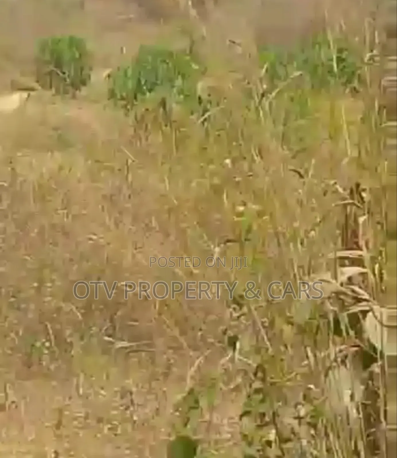 15000 Acres for Sale /Acre at Lagos Ibadan Expressway in Oluyole