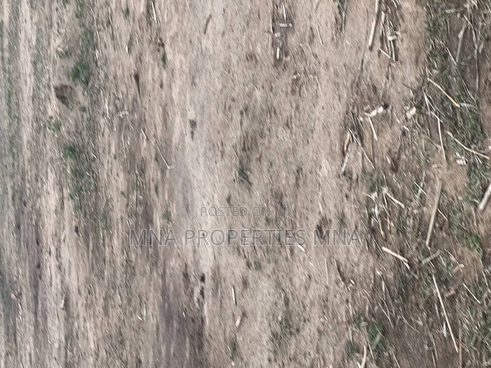 Hill-View Estate, Apo Hiltop in Apo District