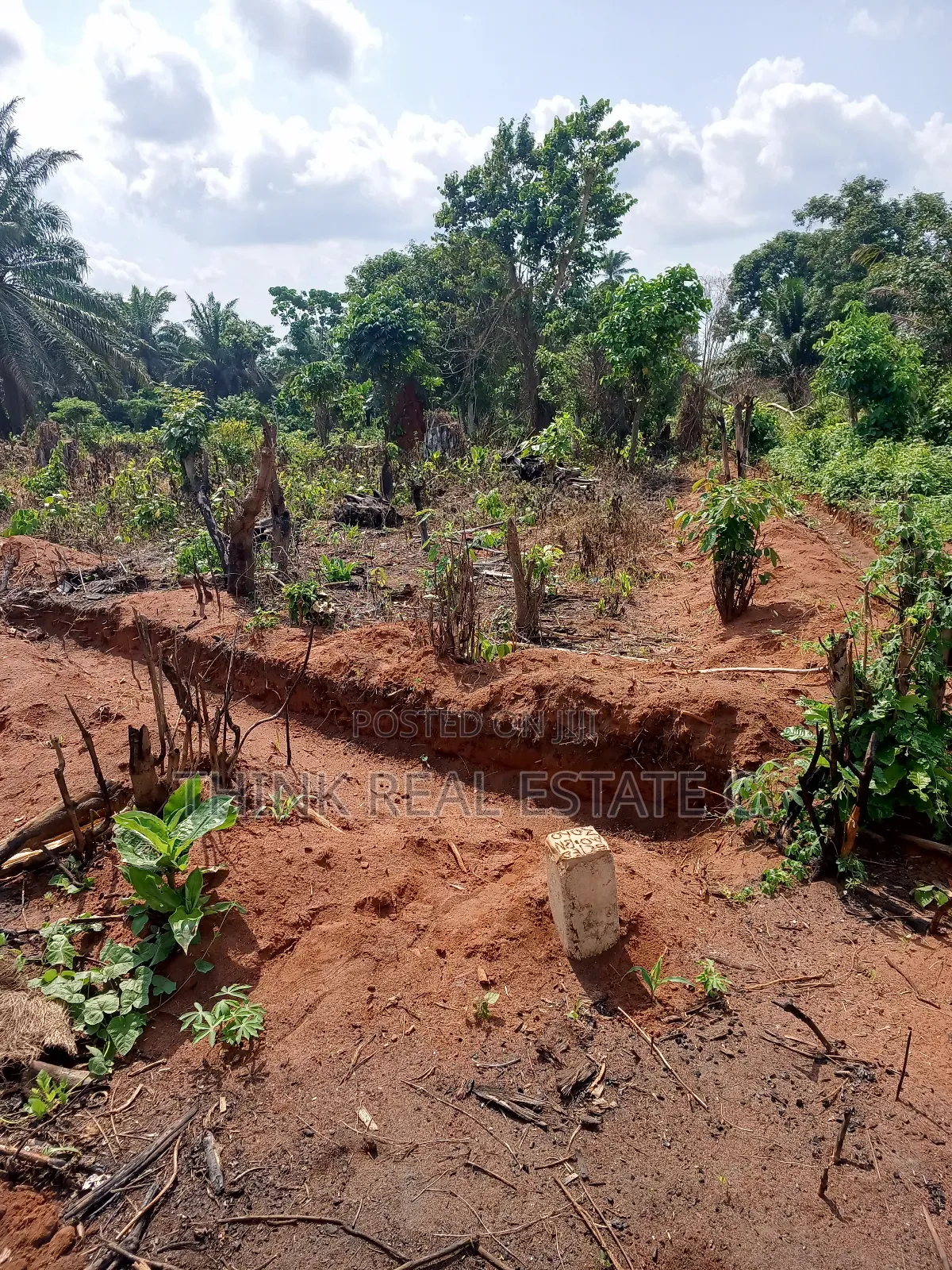 C of O 100/100 at Ekowe Community After Ovbiogie for Sale in Benin City