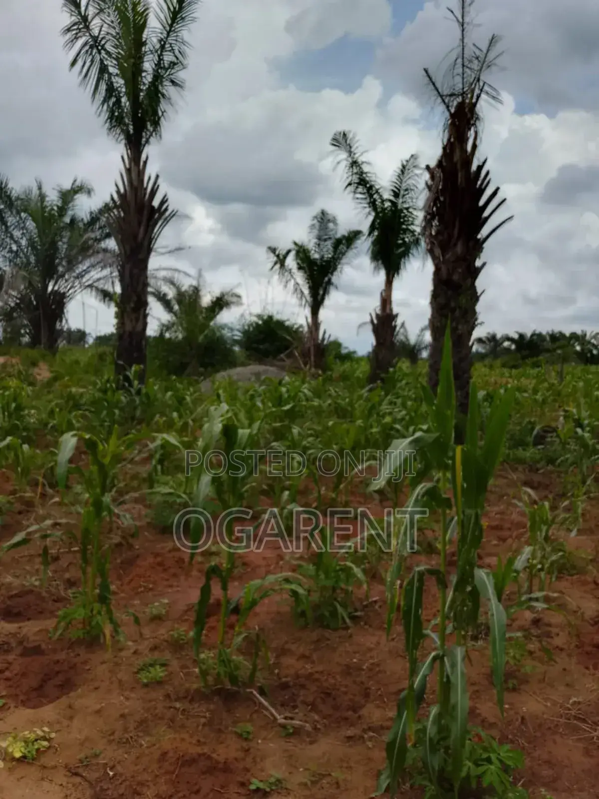 1 by 2 Land for Sale at Benin/Warri Express Way in Benin City