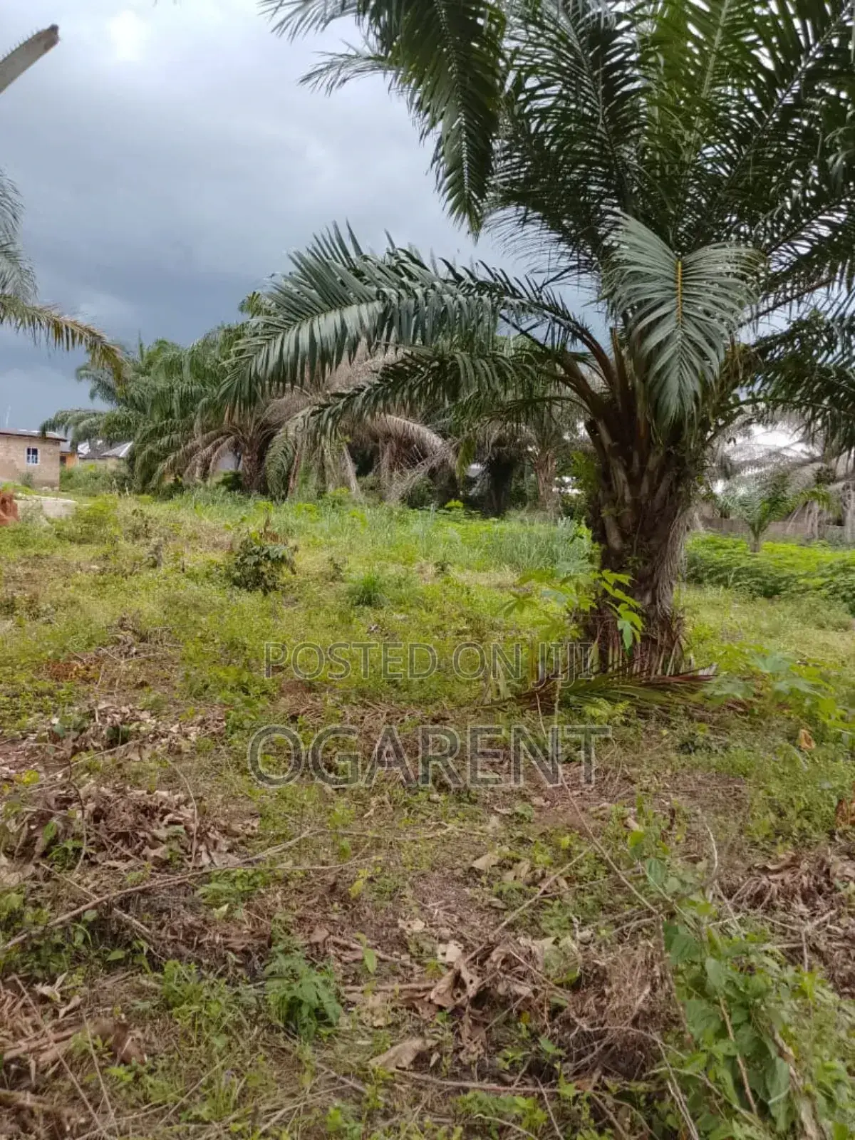 1 by 2 Land for Sale at Benin/Warri Express Way in Benin City
