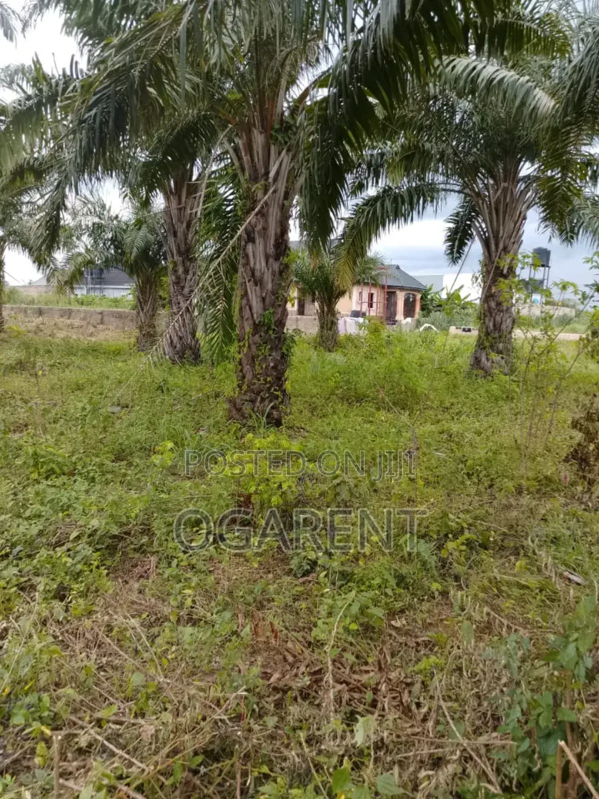 1 by 2 Land for Sale at Benin/Warri Express Way in Benin City