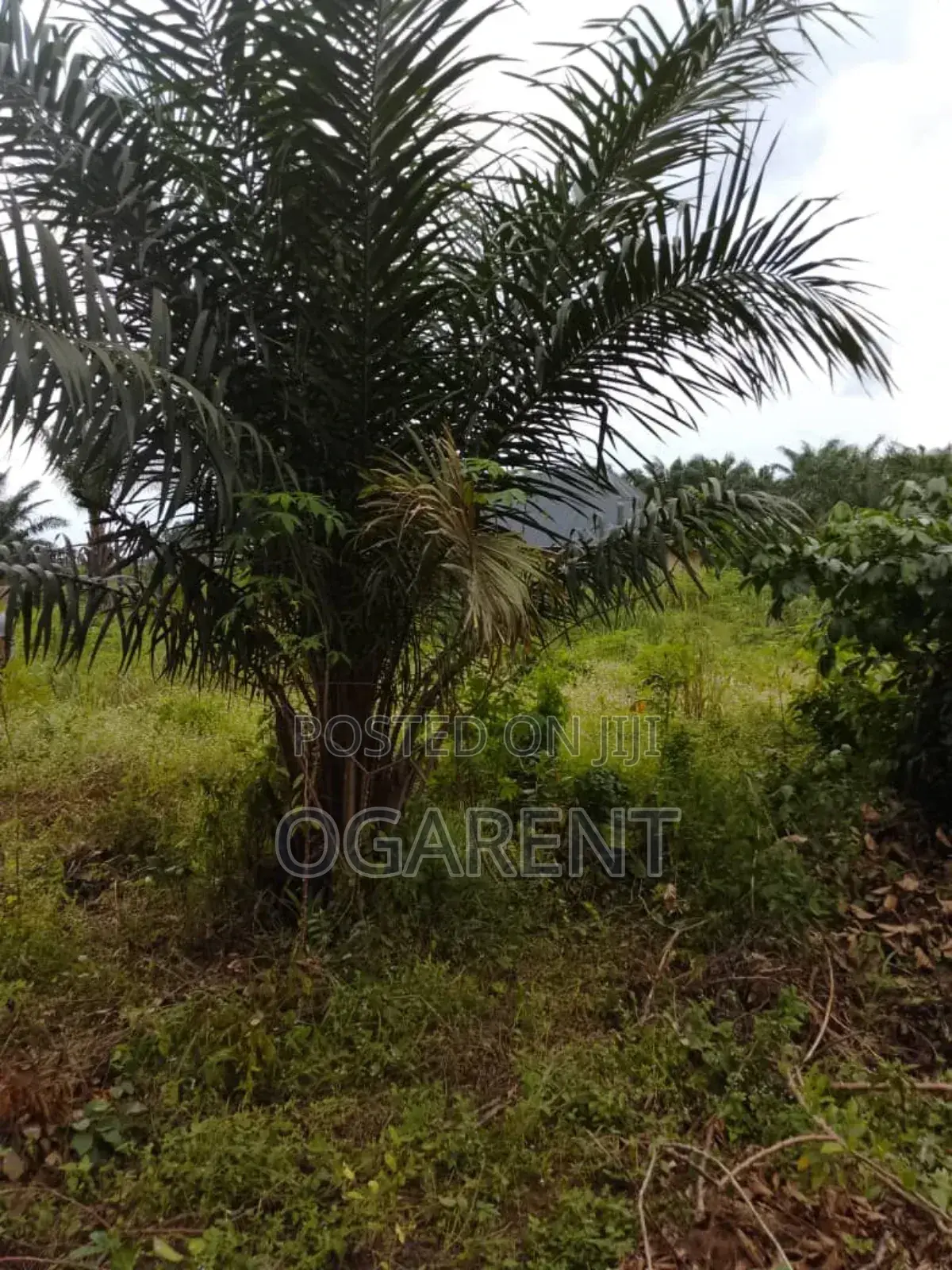 1 by 2 Land for Sale at Benin/Warri Express Way in Benin City