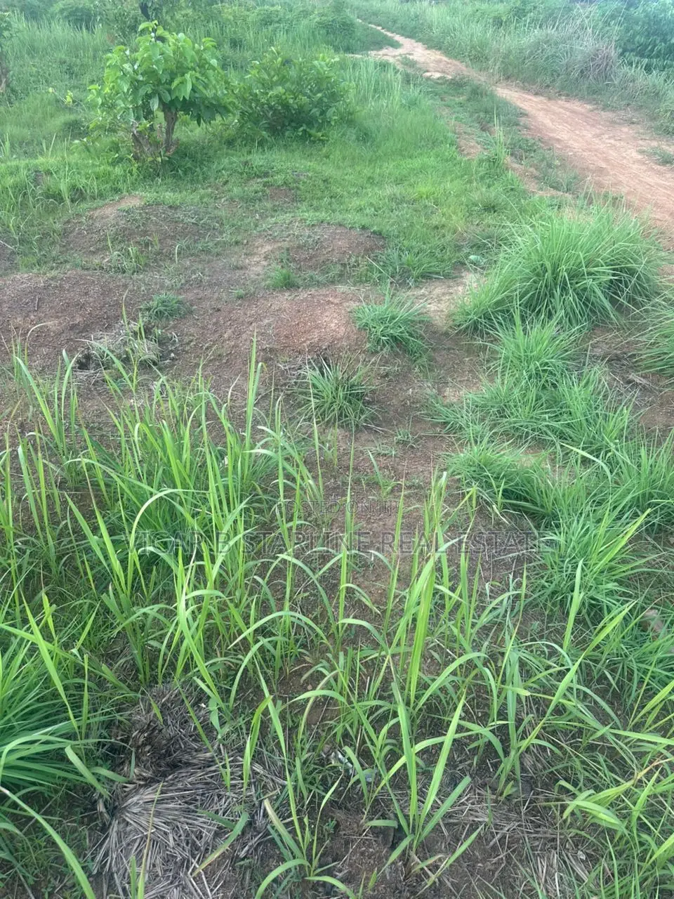 One Plot of Land Fat Ishieke for Sale in Abakaliki