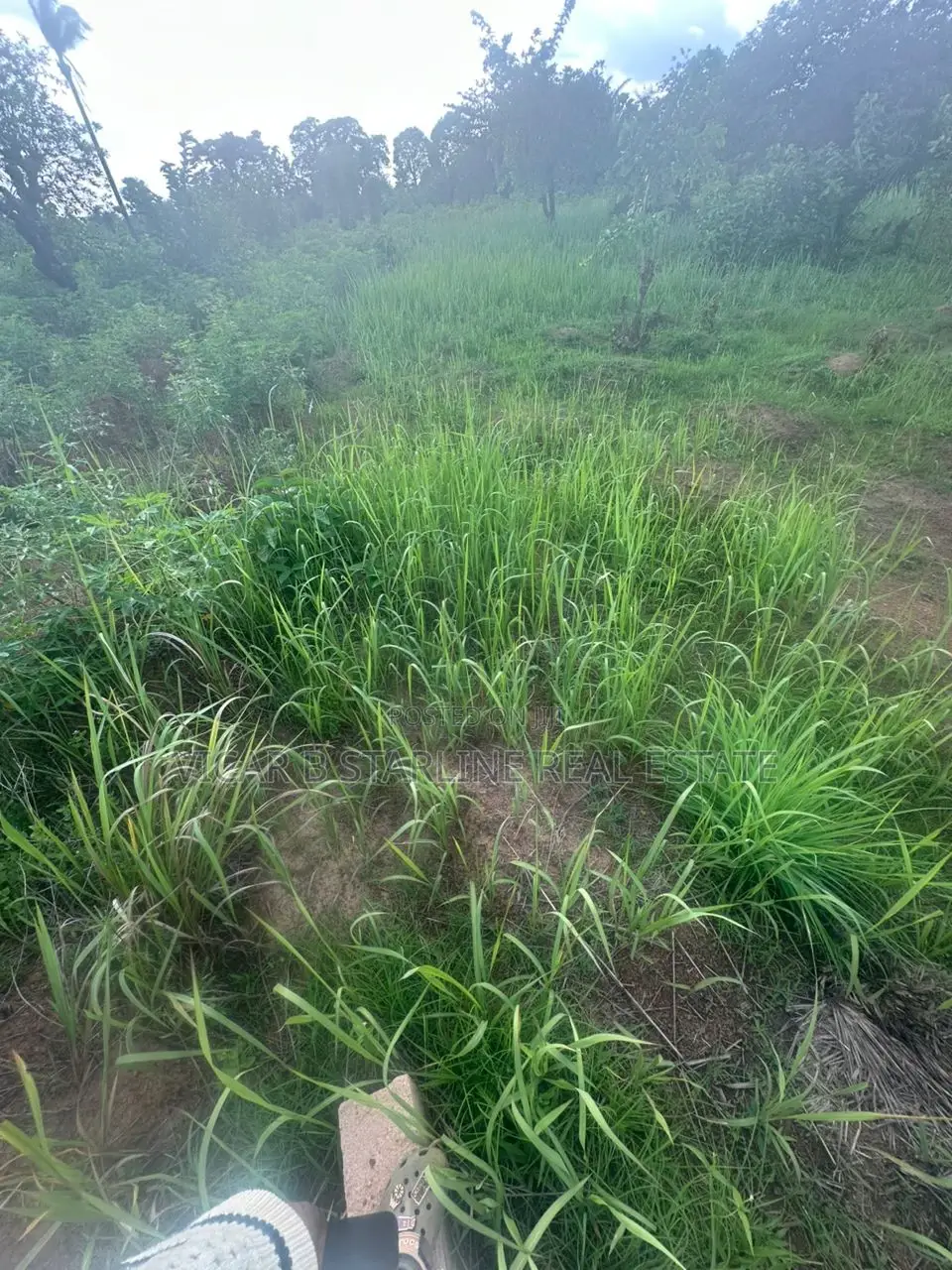 One Plot of Land Fat Ishieke for Sale in Abakaliki