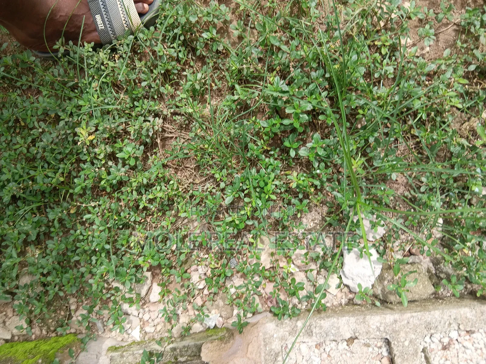 4bdrm Duplex in Maryland Lagos State for sale in Maryland