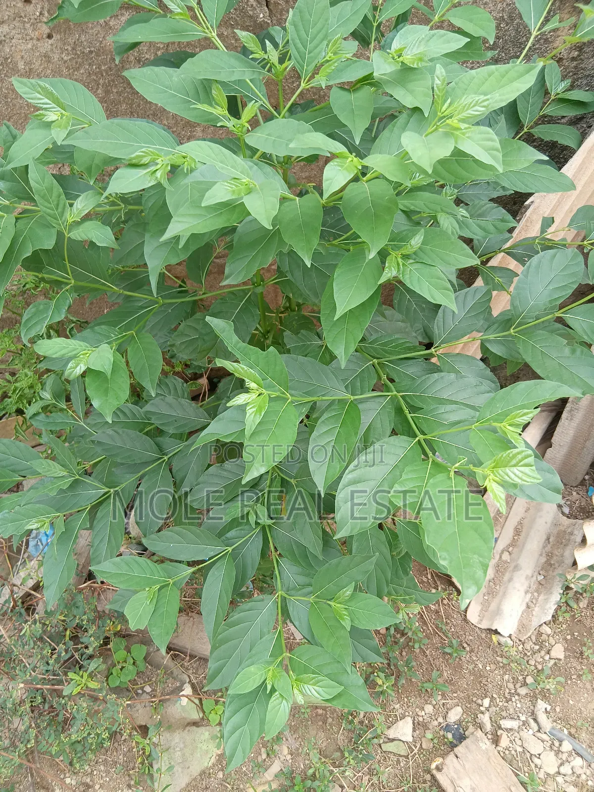 3bdrm Bungalow in Aton, Ado-Odo/Ota for sale in Ado-Odo/Ota