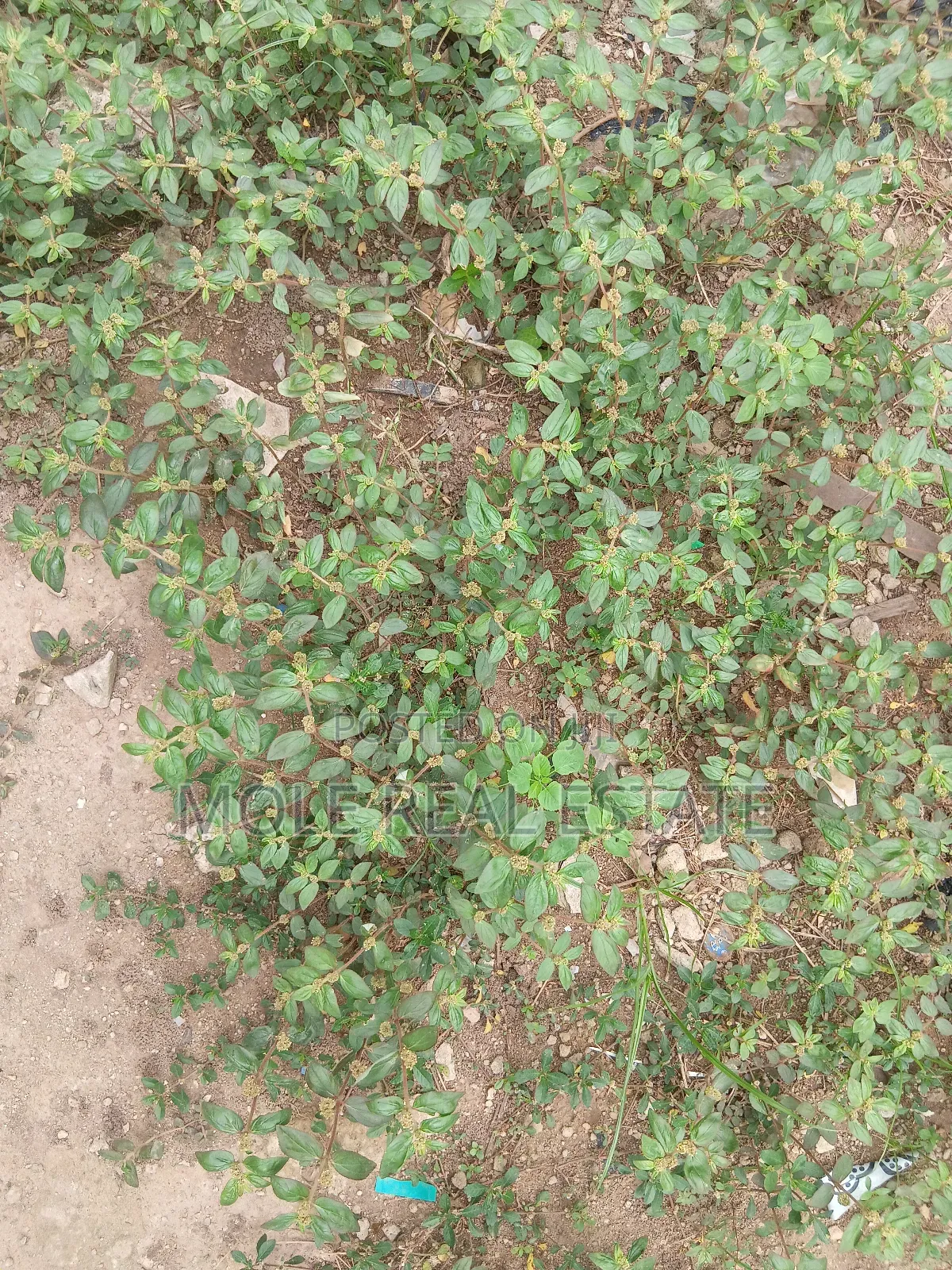 600sqm Full Plot Facinng Awoyaya Rd Ajah Left in Awoyaya