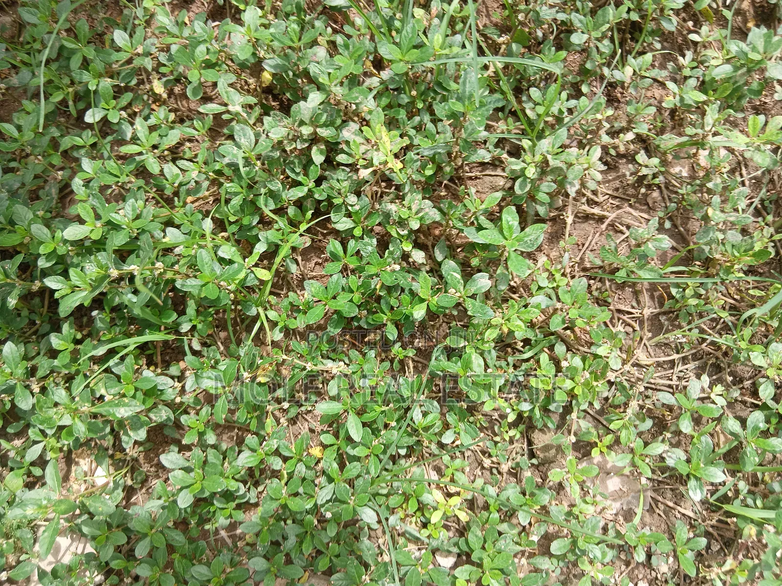 600sqm Full Plot Facinng Awoyaya Rd Ajah Left in Awoyaya