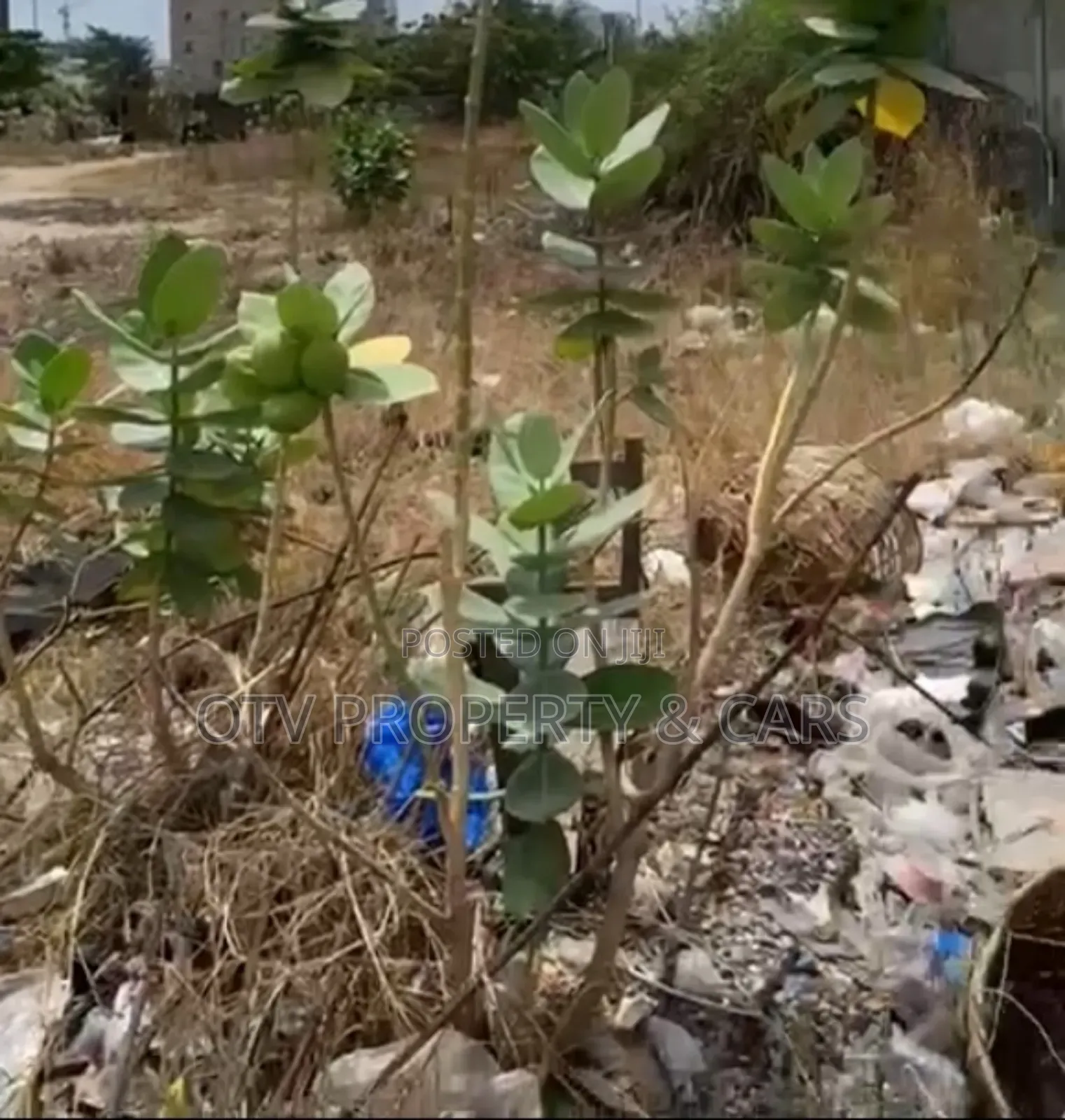 Distress Sale
1600sqm Land at Ikeja for Sale ₦1.5b Residential in Awolowo Way