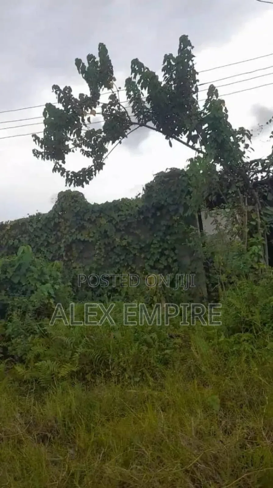 Land for Sale in 6th Avenue, Festac in Festac