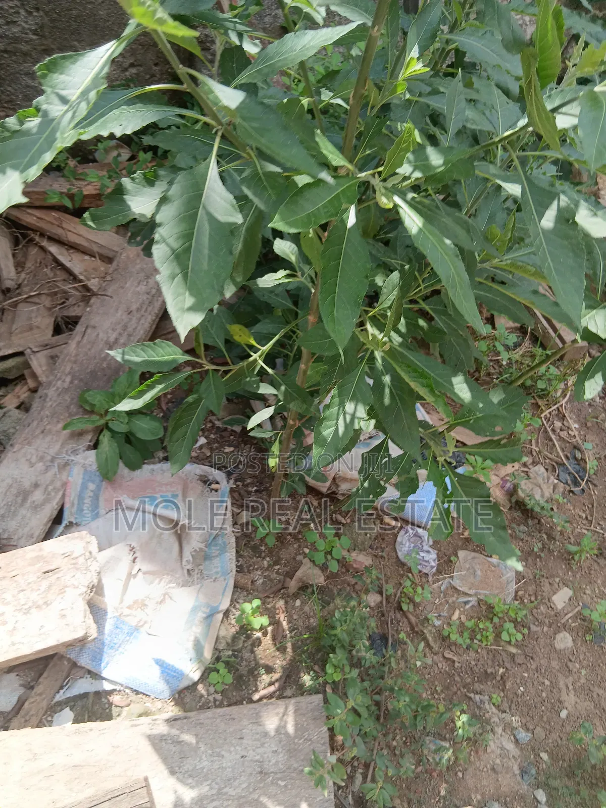 30ft by 62ft Quarter Plot Iguando Phase 2 Celestial Rd in Igando / Ikotun/Igando