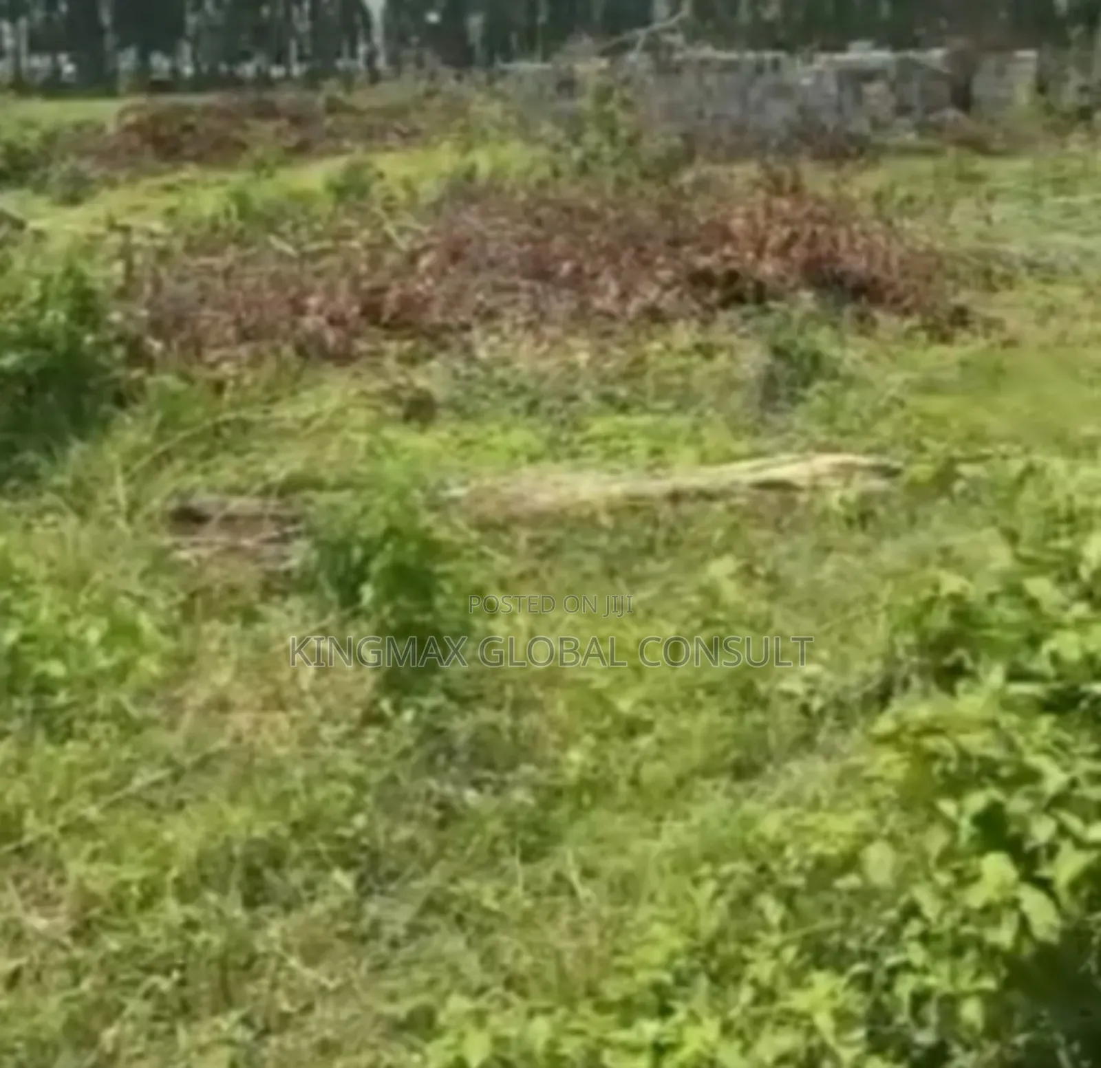 Massive Residential Land in Life Camp for Sale in Life Camp