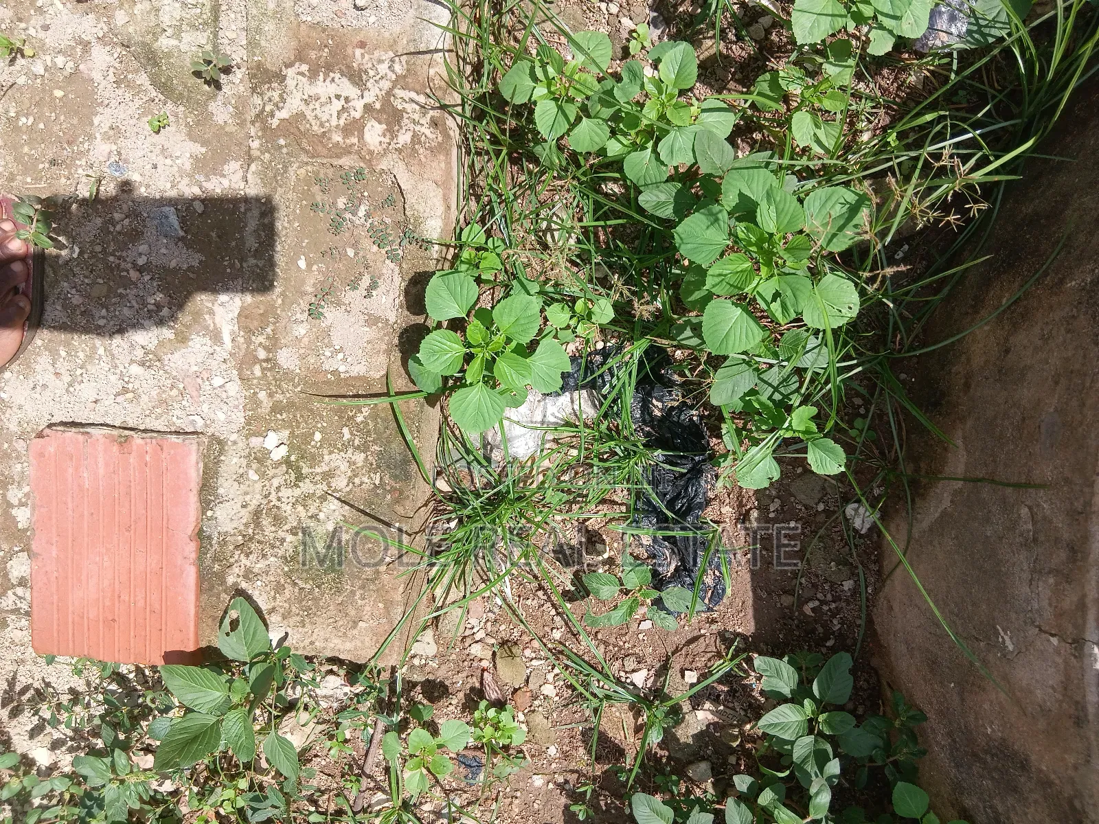 1800sqm (3 Plots) 4 Sal Prime Location Sango Gateway Hotel in Ado-Odo/Ota