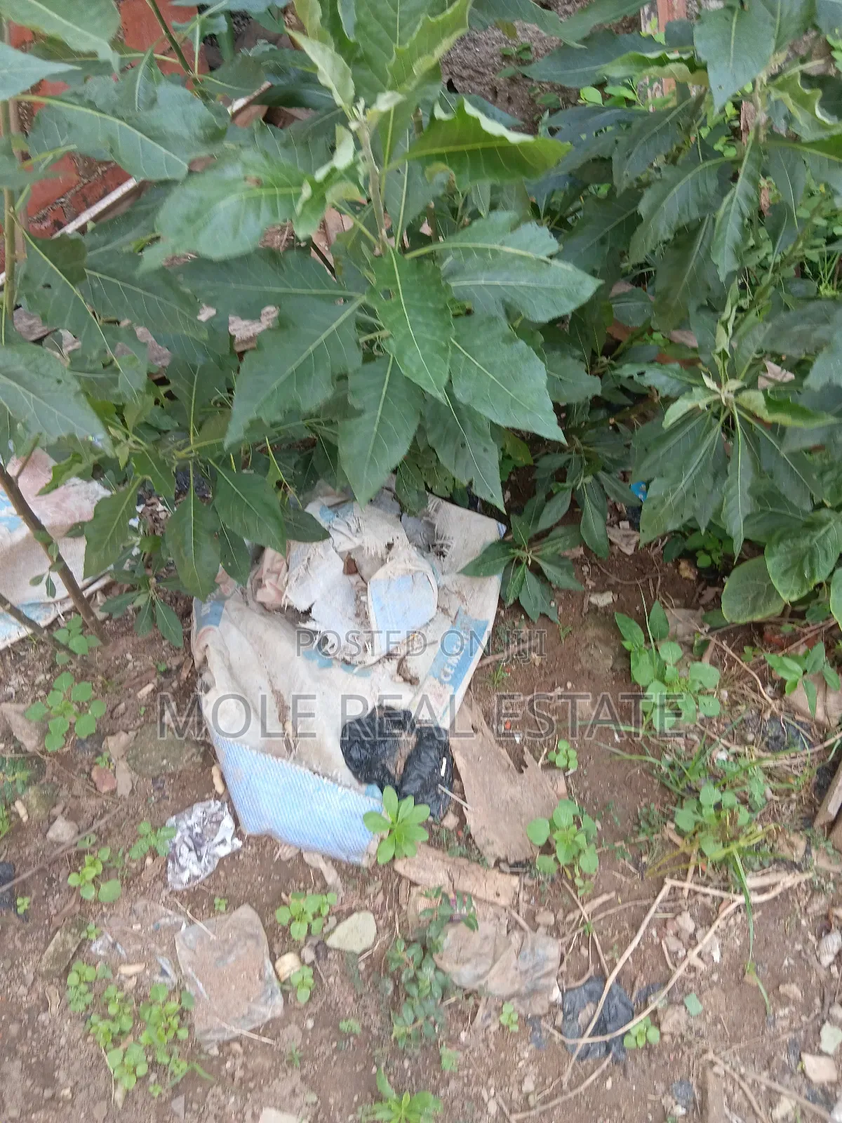 10000sqm Plot Behind Purple Mall Off Freedom Way Ikate Leki in Lekki