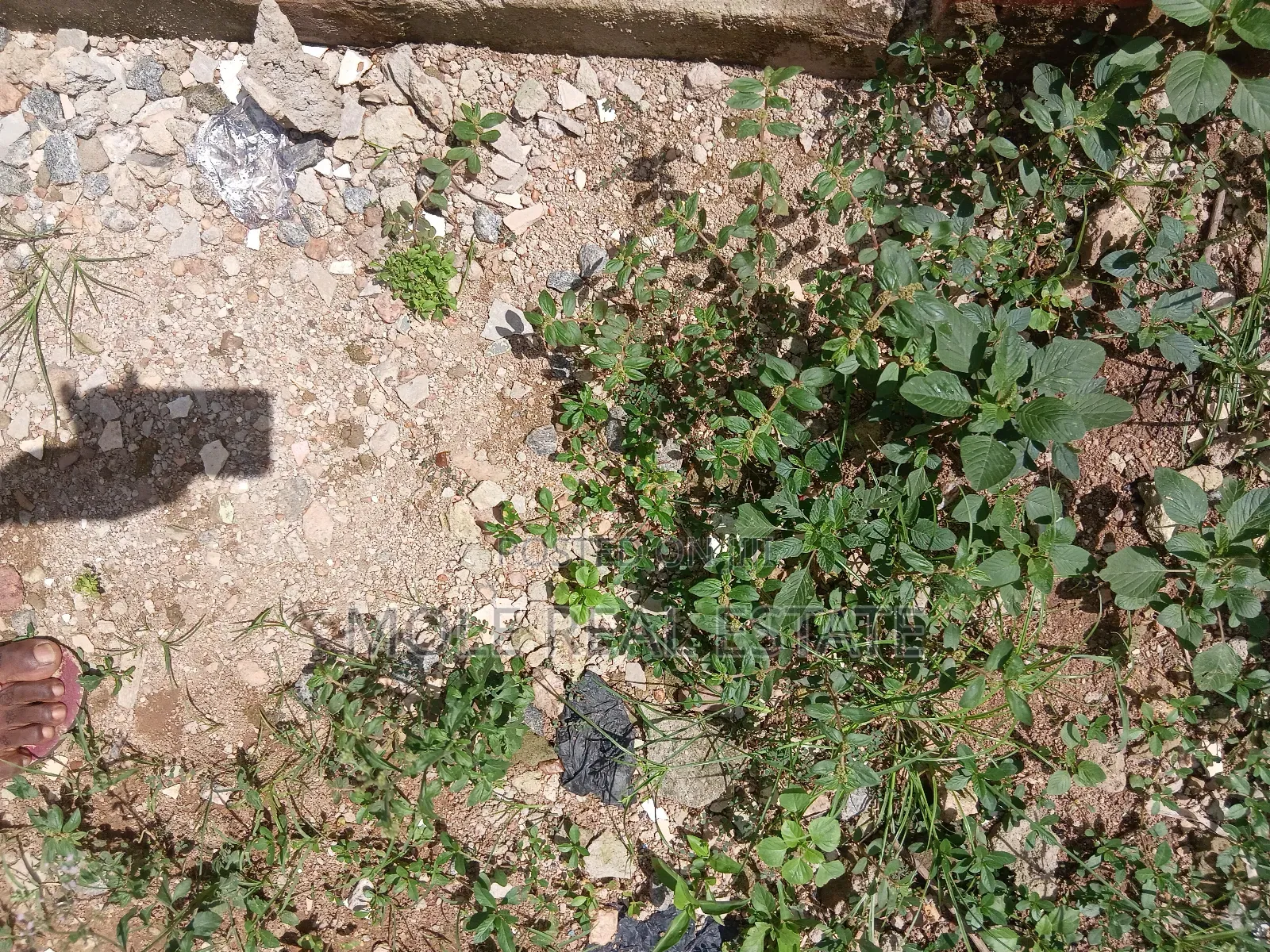 300sqm ( Half Plot) Fenc Agric Road Iguando Distres Sales in Igando / Ikotun/Igando