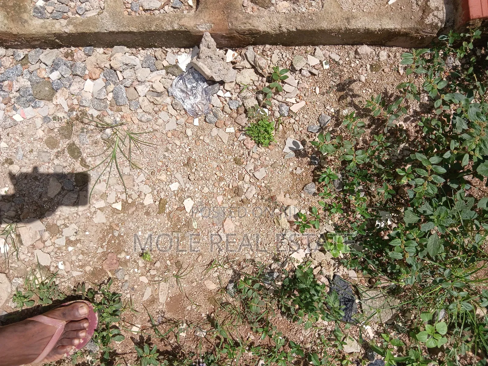 300sqm ( Half Plot) Fenc Agric Road Iguando Distres Sales in Igando / Ikotun/Igando