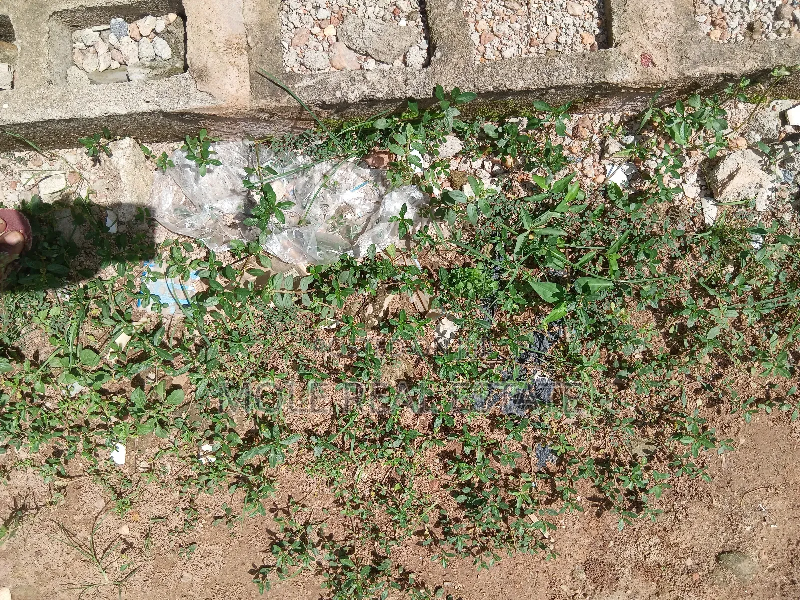 2bdrm Block of Flats in Ikeja for sale in Ikeja