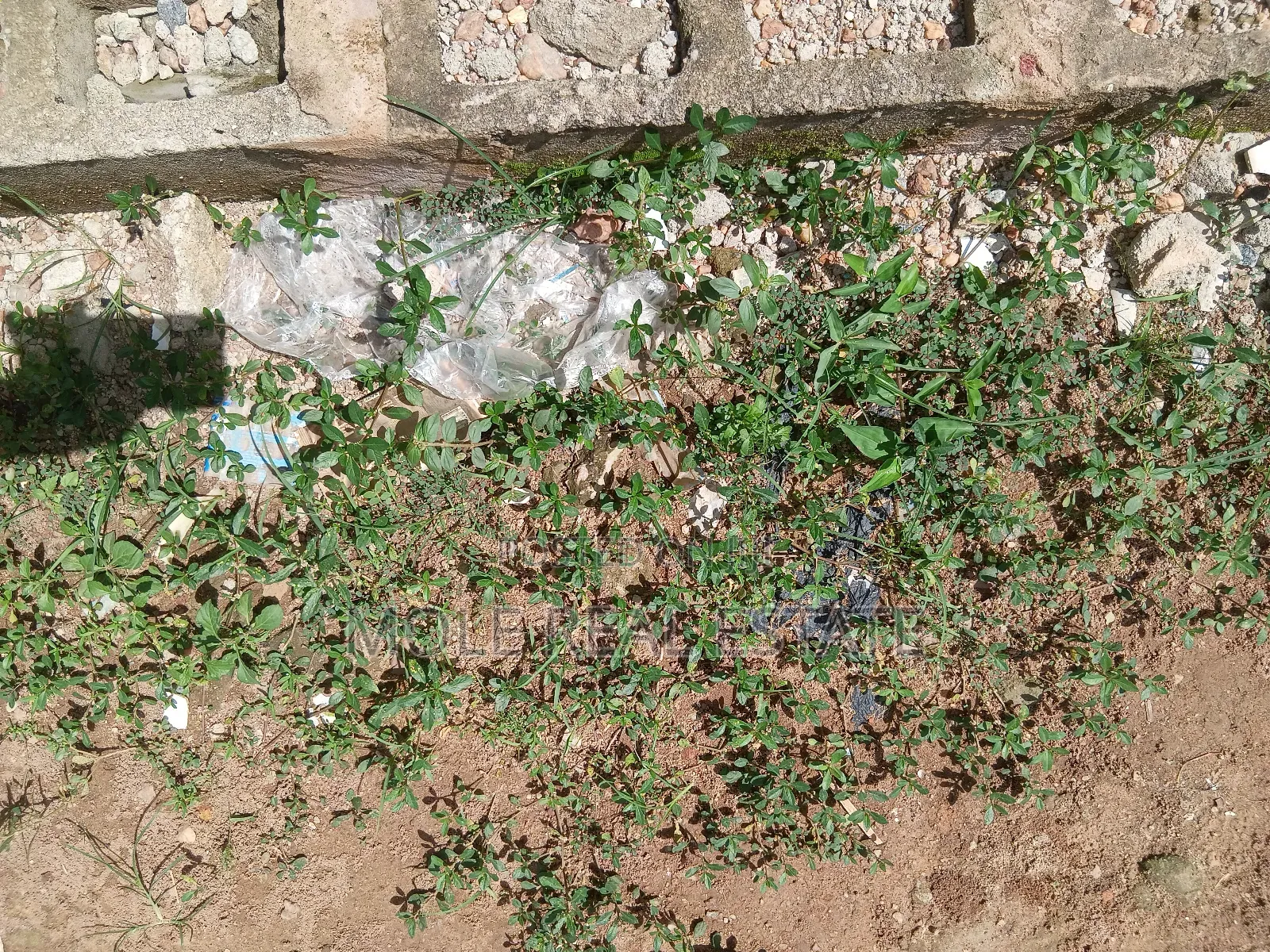 2bdrm Block of Flats in Ikeja for sale in Ikeja