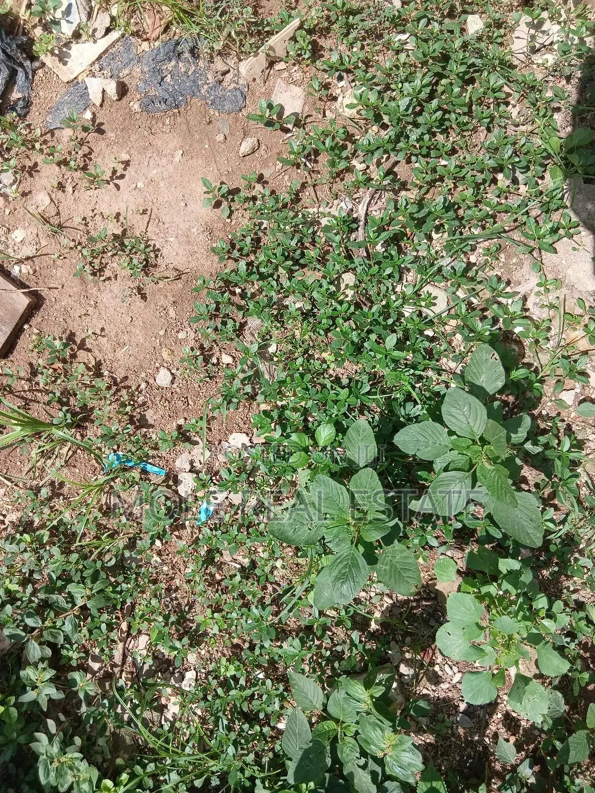 10000sqm Plot Behind Purple Mall Off Freedom Way Ikate Leki in Lekki
