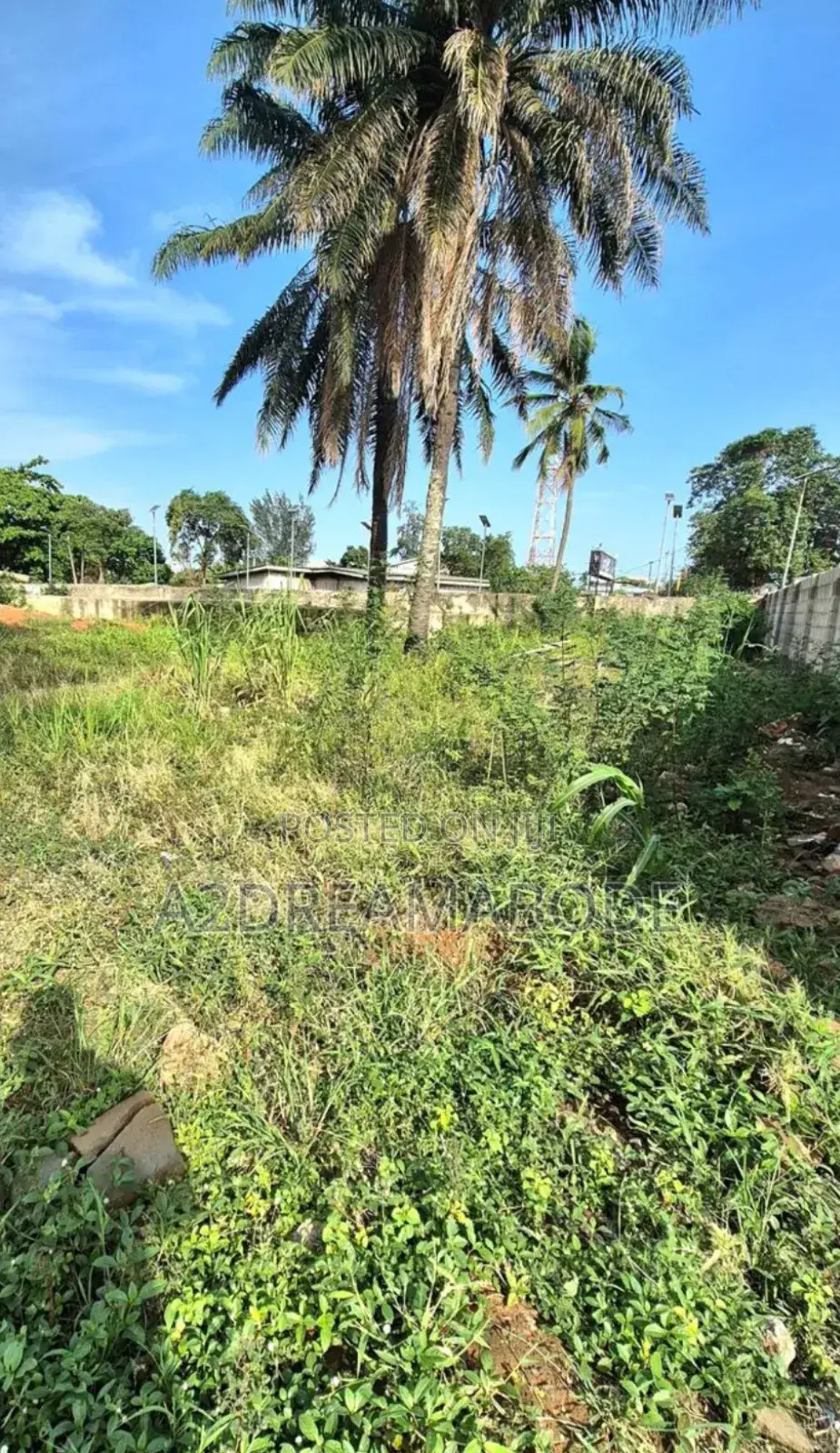 Magnanimous Vast Land in Ikeja