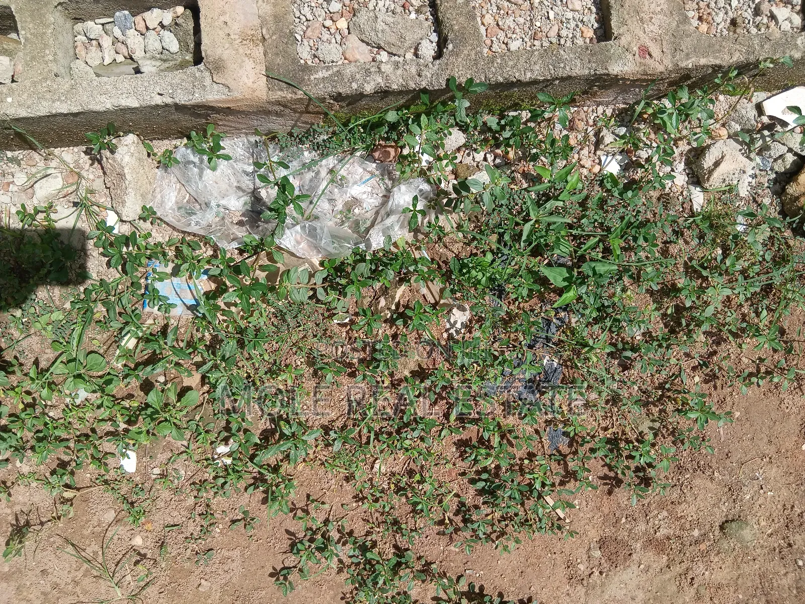 600sqm ( Fulĺ Plot ) 4 Lease Calvary B/S Ikotun Idimu Rd in Ikotun/Igando