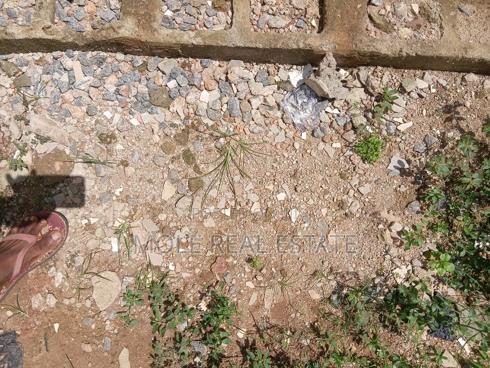 30/120ft (Half Plot) Lanre Bustop Lasu/Isheri Express in Ikotun/Igando