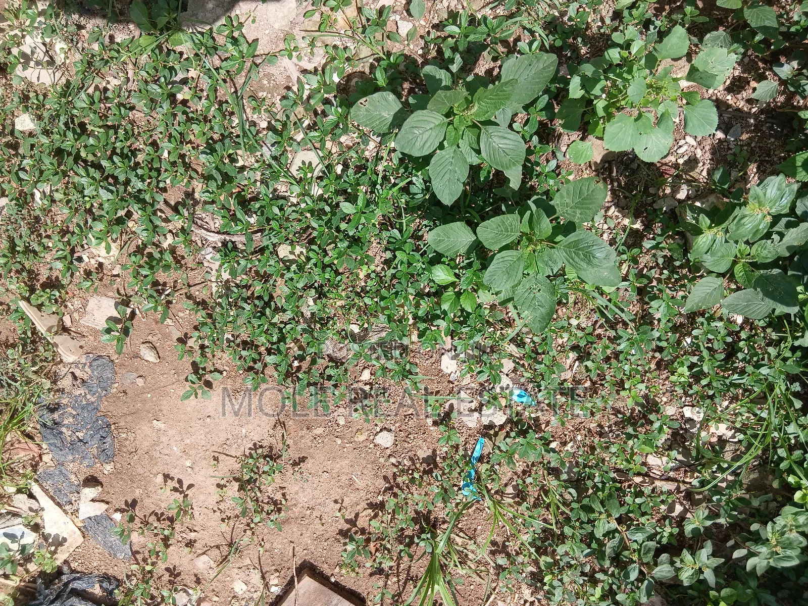 3000sqm Plot Eko Atlantic Jointventure No Premium in Abaranje