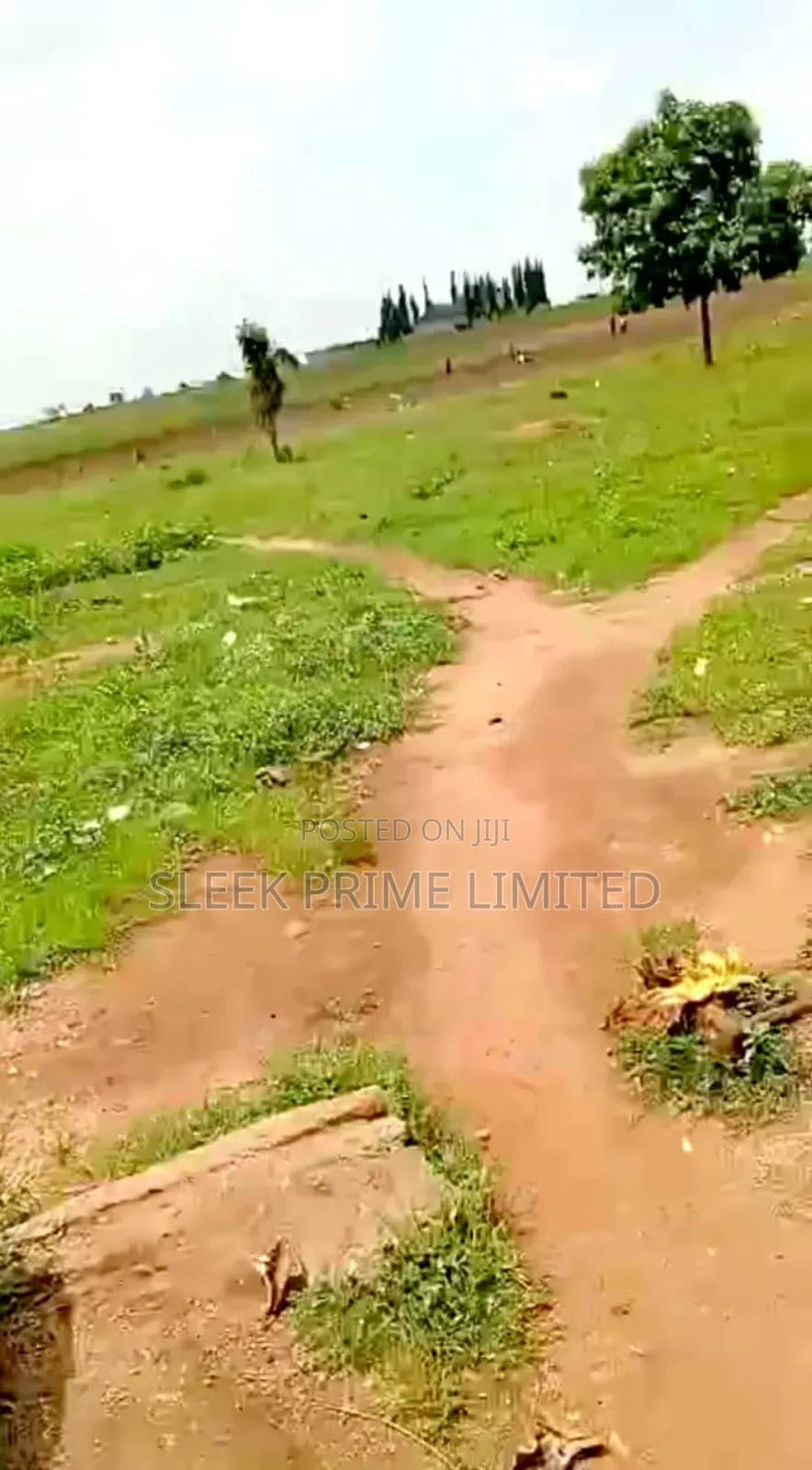 20 Hectares of Land in Kurudu in Kurudu