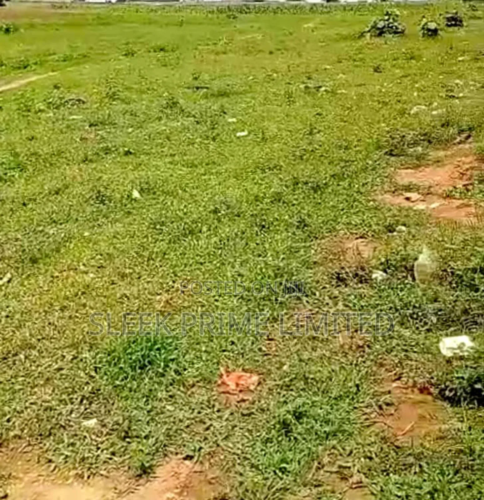 20 Hectares of Land in Kurudu in Kurudu