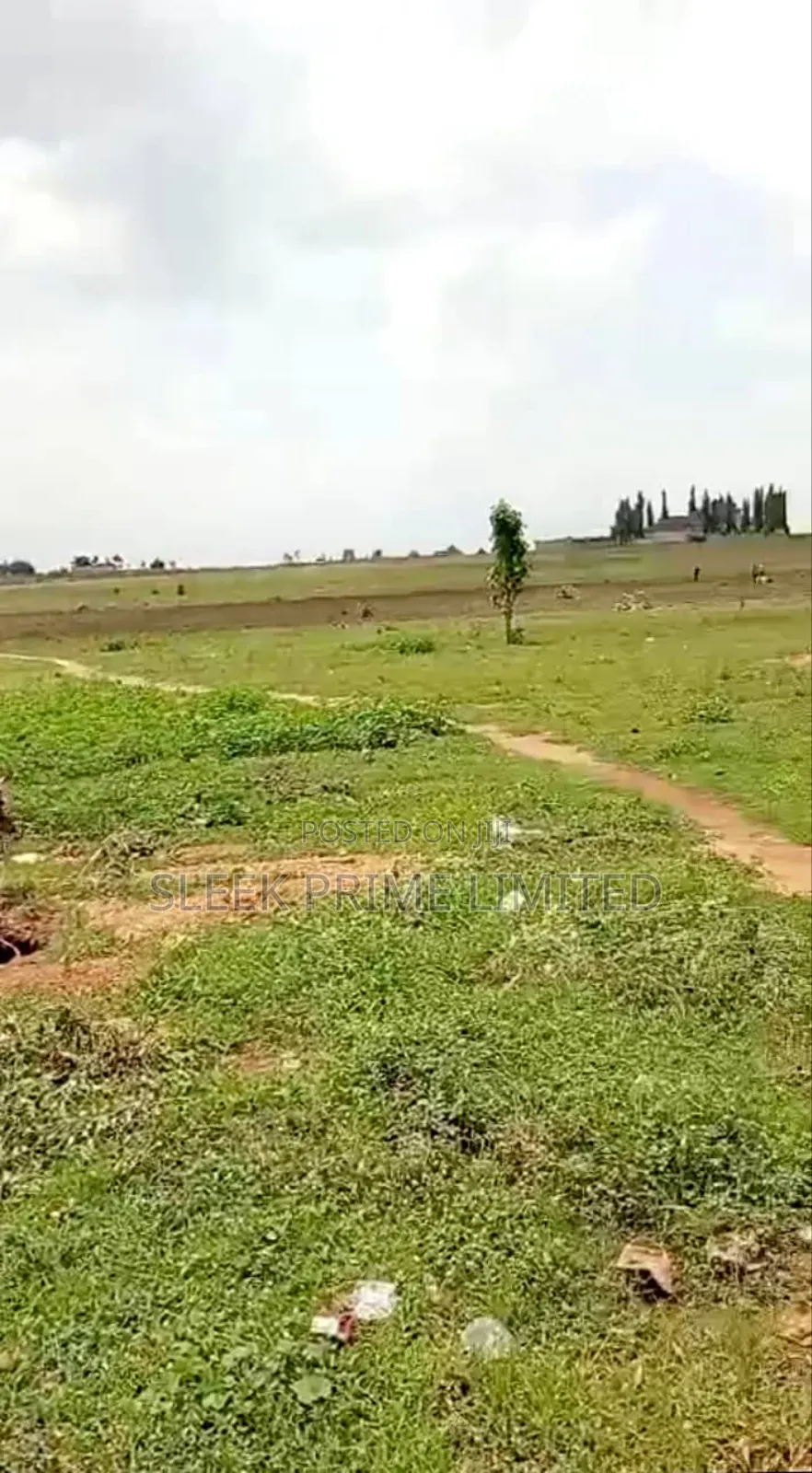20 Hectares of Land in Kurudu in Kurudu